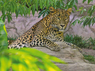 Bioparc Fuengirola © Bioparc Fuengirola