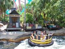 Busch Gardens in Tampa, Florida