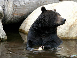 Der Caldwell Zoo
in Tyler, Texas © Caldwell Zoo